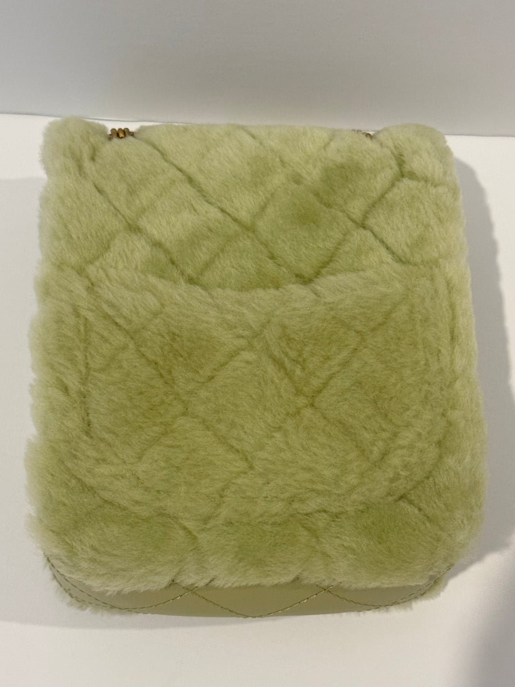 Chanel 2.55 Shearling and Leather North/South Reissue Flap Chain Shoulder Crossbody in Vert Green